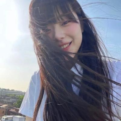 神犬小七第二季