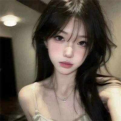 哈兰·科本的庇护所
